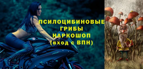 шишки Армянск